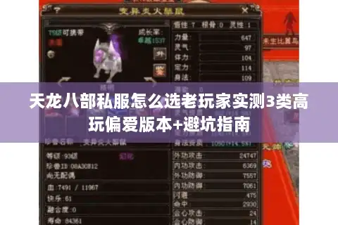 天龙八部私服怎么选老玩家实测3类高玩偏爱版本+避坑指南 天龙八部私服怎么选老玩家实测3类高玩偏爱版本+避坑指南
