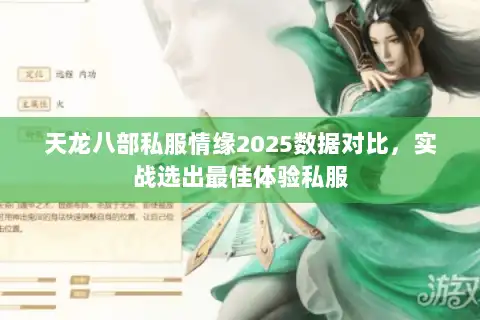 天龙八部私服情缘2025数据对比，实战选出最佳体验私服