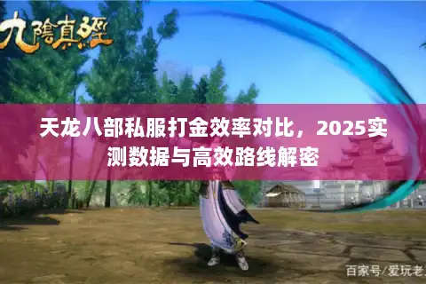 天龙八部私服打金效率对比，2025实测数据与高效路线解密