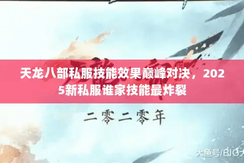 天龙八部私服技能效果巅峰对决，2025新私服谁家技能最炸裂