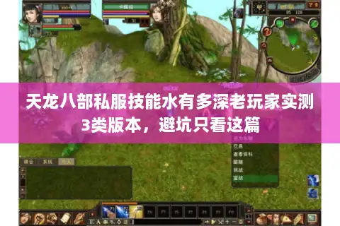 天龙八部私服技能水有多深老玩家实测3类版本，避坑只看这篇
