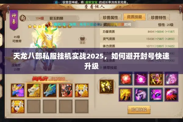 天龙八部私服挂机实战2025，如何避开封号快速升级