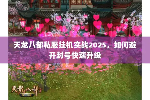 天龙八部私服挂机实战2025，如何避开封号快速升级