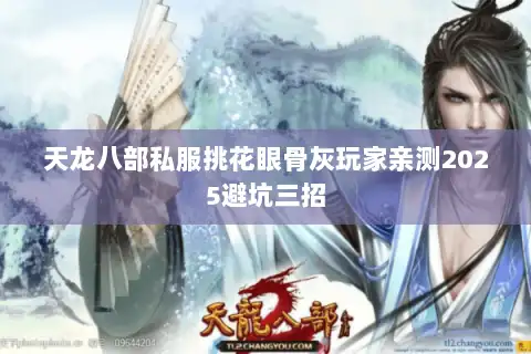 天龙八部私服挑花眼骨灰玩家亲测2025避坑三招