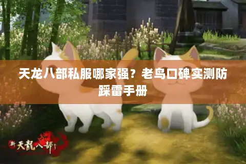 天龙八部私服哪家强？老鸟口碑实测防踩雷手册