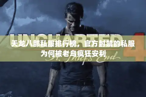 天龙八部私服排行榜，官方封禁的私服为何被老鸟疯狂安利