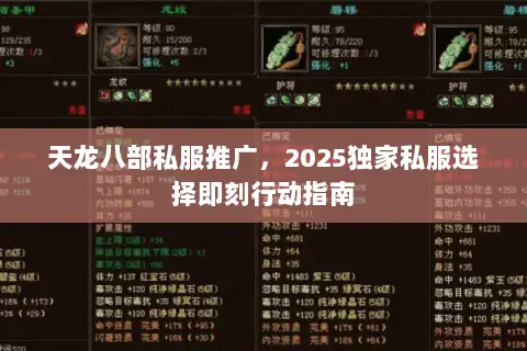 天龙八部私服推广，2025独家私服选择即刻行动指南
