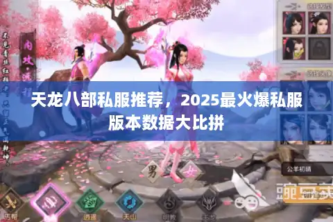 天龙八部私服推荐，2025最火爆私服版本数据大比拼