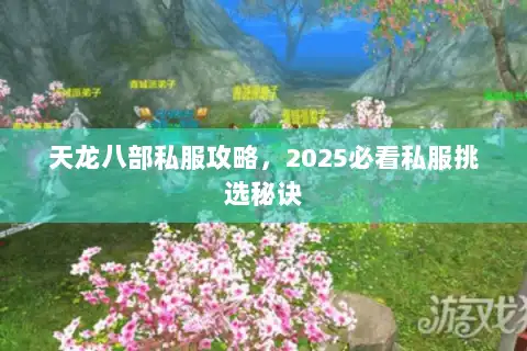 天龙八部私服攻略，2025必看私服挑选秘诀