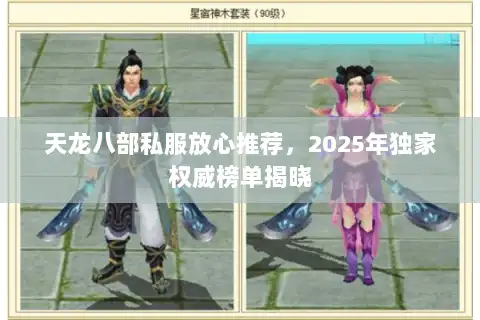 天龙八部私服放心推荐，2025年独家权威榜单揭晓