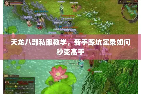 天龙八部私服教学，新手踩坑实录如何秒变高手