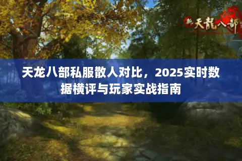 天龙八部私服散人对比，2025实时数据横评与玩家实战指南