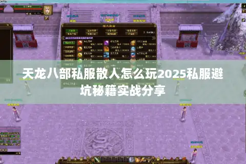 天龙八部私服散人怎么玩2025私服避坑秘籍实战分享