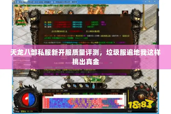 天龙八部私服新开服质量评测，垃圾服遍地我这样挑出真金