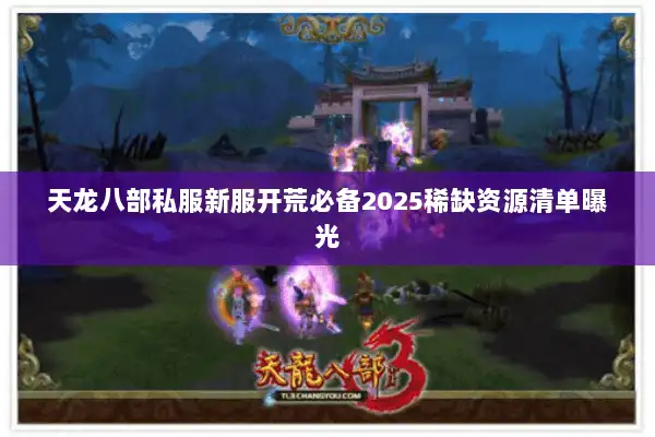 天龙八部私服新服开荒必备2025稀缺资源清单曝光