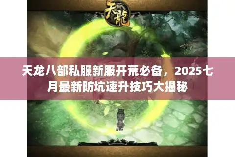 天龙八部私服新服开荒必备，2025七月最新防坑速升技巧大揭秘