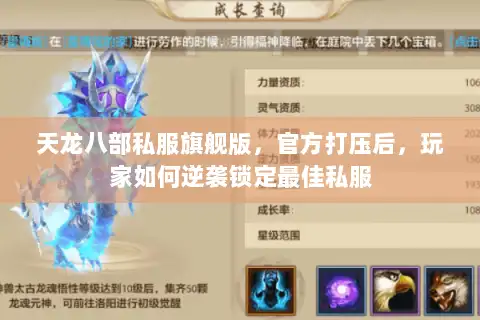 天龙八部私服旗舰版,官方打压后,玩家如何逆袭锁定最佳私服 天龙八部私服旗舰版,官方打压后,玩家如何逆袭锁定最佳私服