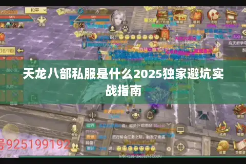 天龙八部私服是什么2025独家避坑实战指南
