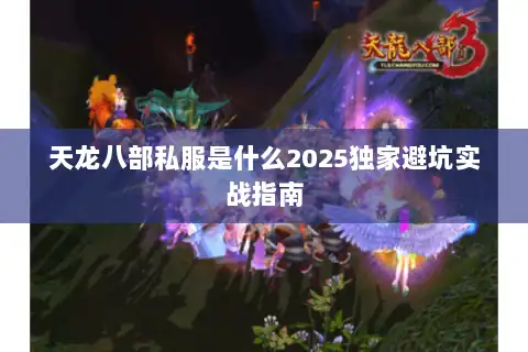 天龙八部私服是什么2025独家避坑实战指南