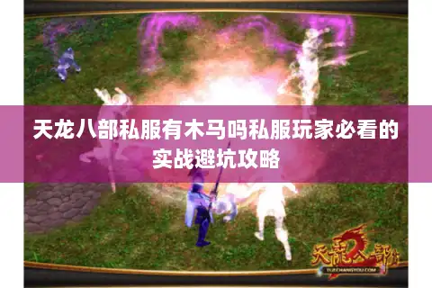 天龙八部私服有木马吗私服玩家必看的实战避坑攻略