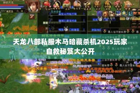 天龙八部私服木马暗藏杀机2025玩家自救秘笈大公开