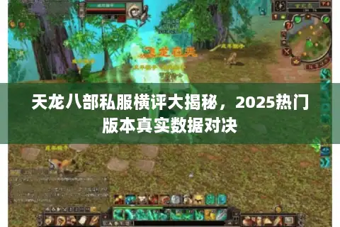 天龙八部私服横评大揭秘,2025热门版本真实数据对决 天龙八部私服横评大揭秘,2025热门版本真实数据对决