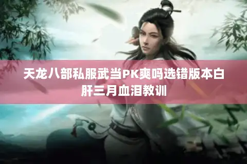 天龙八部私服武当PK爽吗选错版本白肝三月血泪教训 天龙八部私服武当PK爽吗选错版本白肝三月血泪教训