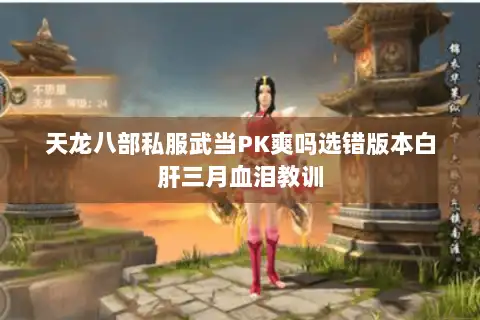 天龙八部私服武当PK爽吗选错版本白肝三月血泪教训 天龙八部私服武当PK爽吗选错版本白肝三月血泪教训