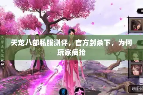 天龙八部私服测评,官方封杀下,为何玩家疯抢 天龙八部私服测评,官方封杀下,为何玩家疯抢