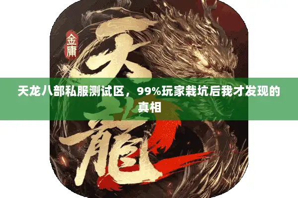 天龙八部私服测试区，99%玩家栽坑后我才发现的真相