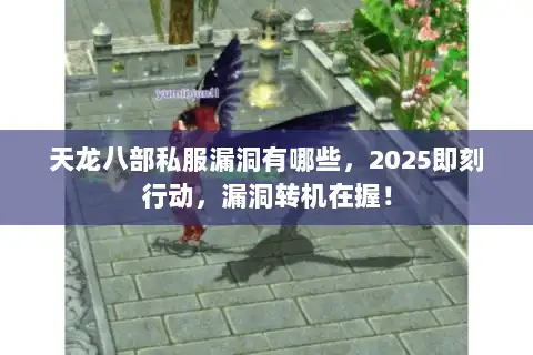 天龙八部私服漏洞有哪些，2025即刻行动，漏洞转机在握！