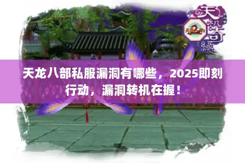 天龙八部私服漏洞有哪些，2025即刻行动，漏洞转机在握！