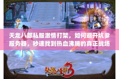 天龙八部私服激情打架，如何避开坑爹服务器，秒速找到热血沸腾的真正战场
