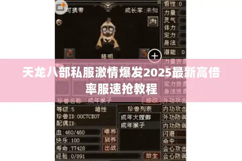天龙八部私服激情爆发2025最新高倍率服速抢教程
