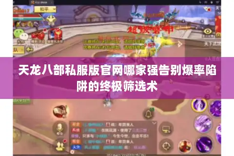 天龙八部私服版官网哪家强告别爆率陷阱的终极筛选术