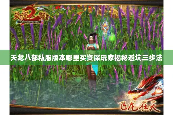 天龙八部私服版本哪里买资深玩家揭秘避坑三步法