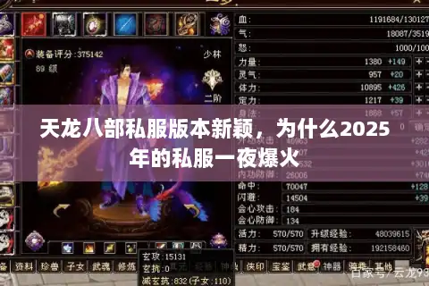 天龙八部私服版本新颖，为什么2025年的私服一夜爆火