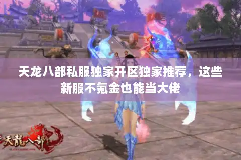 天龙八部私服独家开区独家推荐，这些新服不氪金也能当大佬