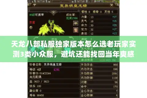 天龙八部私服独家版本怎么选老玩家实测3类小众服，避坑还能找回当年爽感