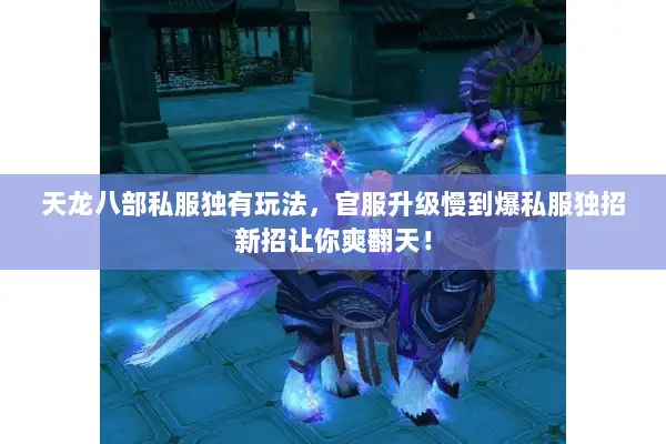 天龙八部私服独有玩法，官服升级慢到爆私服独招新招让你爽翻天！