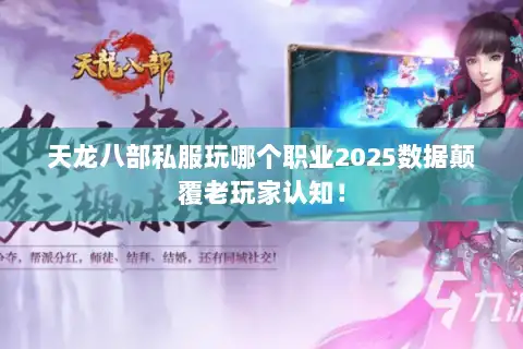 天龙八部私服玩哪个职业2025数据颠覆老玩家认知！