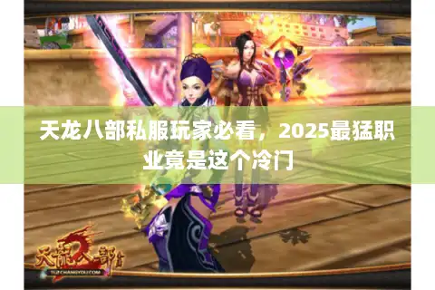天龙八部私服玩家必看，2025最猛职业竟是这个冷门
