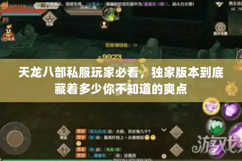 天龙八部私服玩家必看，独家版本到底藏着多少你不知道的爽点