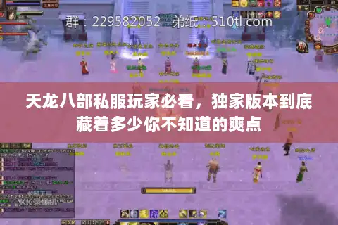 天龙八部私服玩家必看，独家版本到底藏着多少你不知道的爽点