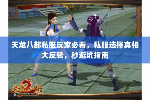 天龙八部私服玩家必看，私服选择真相大反转，秒避坑指南