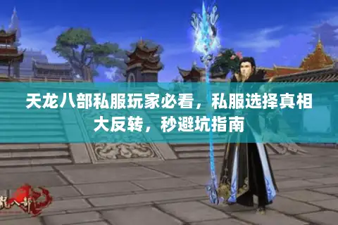天龙八部私服玩家必看，私服选择真相大反转，秒避坑指南