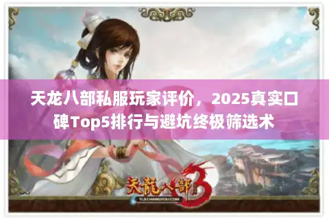 天龙八部私服玩家评价，2025真实口碑Top5排行与避坑终极筛选术