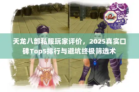 天龙八部私服玩家评价，2025真实口碑Top5排行与避坑终极筛选术