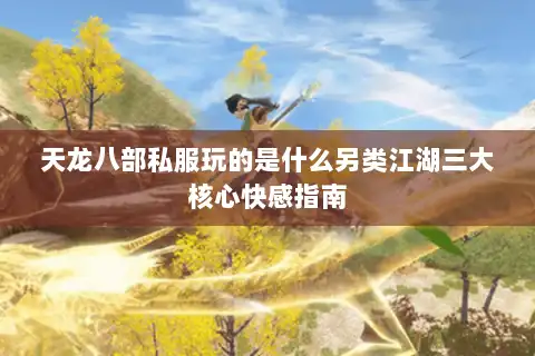 天龙八部私服玩的是什么另类江湖三大核心快感指南 天龙八部私服玩的是什么另类江湖三大核心快感指南