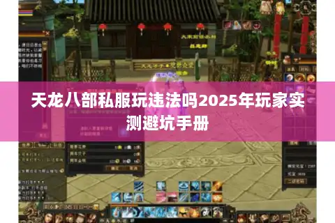 天龙八部私服玩违法吗2025年玩家实测避坑手册